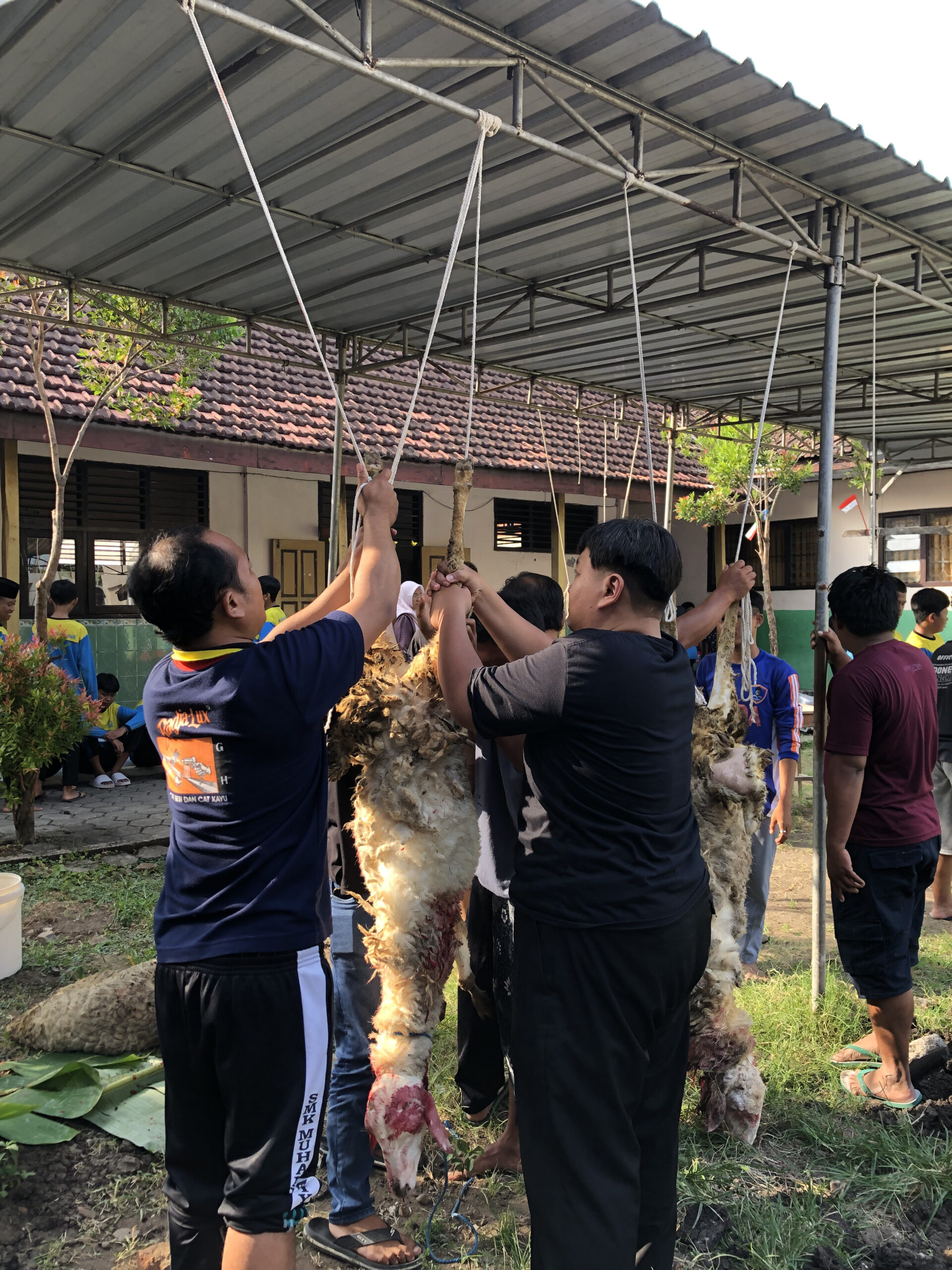 qurban 1 scaled